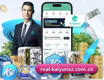 开云下载 APP 深度功能（kaiyun）